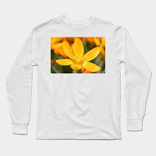 Crocus olivieri subsp. balansae  &#39;Zwanenburg&#39;  Syn.  Crocus balansae &#39;Zwanenburg&#39; Long Sleeve T-Shirt